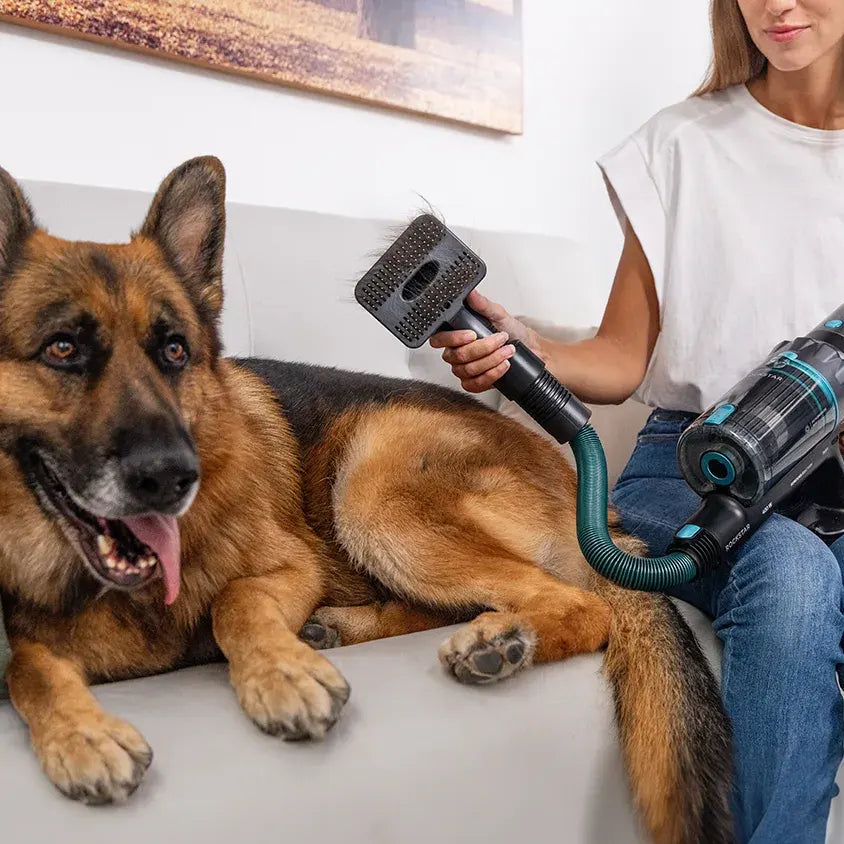 Cecotec Conga Rockstar 2500 Thunder Flex Animal upright vacuum cleaner - vezeték nélküli porszívó 