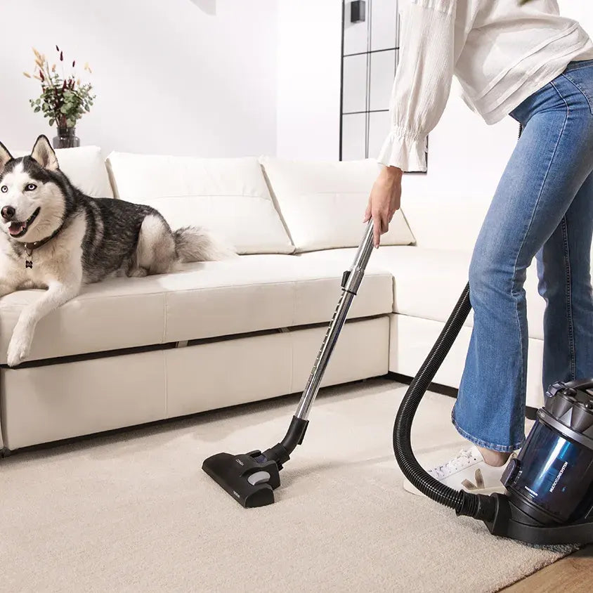 Cecotec Conga Rockstar Multicyclonic XL Animal Plus - porzsák nélküli porszívó 